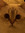 ric