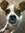 member photo member photo