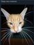 Kacper