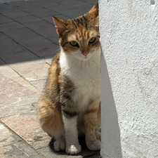 Houda