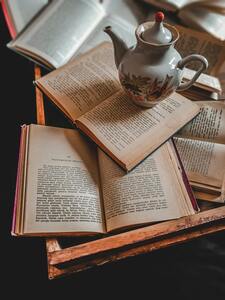 RR_Reader