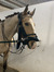 Astrid
