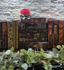 Beautifully Broken Reader