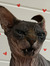 Lisix