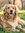 member photo member photo