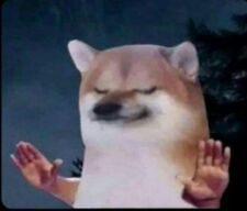 M.