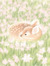 ✿