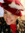member photo member photo