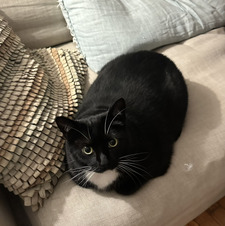 Eliza