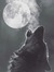 A wolf ...