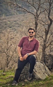 Hossein P