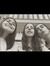 Irenii&...