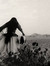 Laura S...