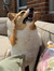 Adriann...