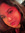 Tahreem (tahreemreads) | 17 comments