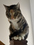 Eloise ...