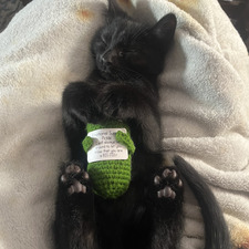 MaryCat