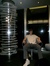 Haydn H