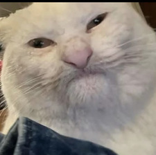 MiQyu