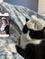 Wilma L...