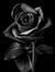 S.C Gri...
