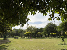 Samdisha