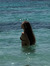 Judit V...