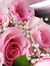 Poppy R...