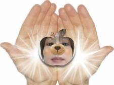 catboou
