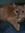 member photo member photo