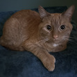 Kiana