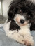 Marlee