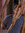 member photo member photo