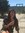 Jessica Calhoun