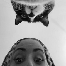 Dounsi