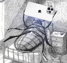 Gregor Samsa
