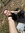 Josie Belcher