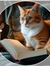 BookNerd#3