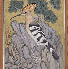 Khaleeq