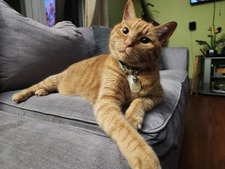 Kiki
