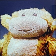 Andrew