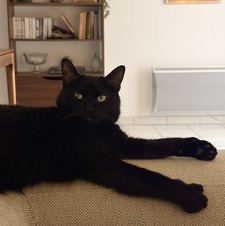 Lila