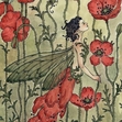 Papaver Somniferum