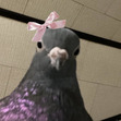 Niamh