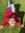 Emily Selle