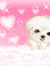cre