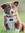 Alice | 2 comments