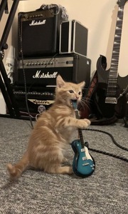 alex