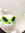 Iz