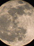 belleluna